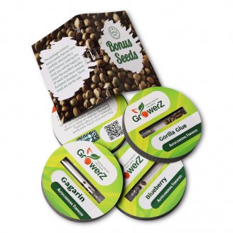 Jack Herer Auto Fem.