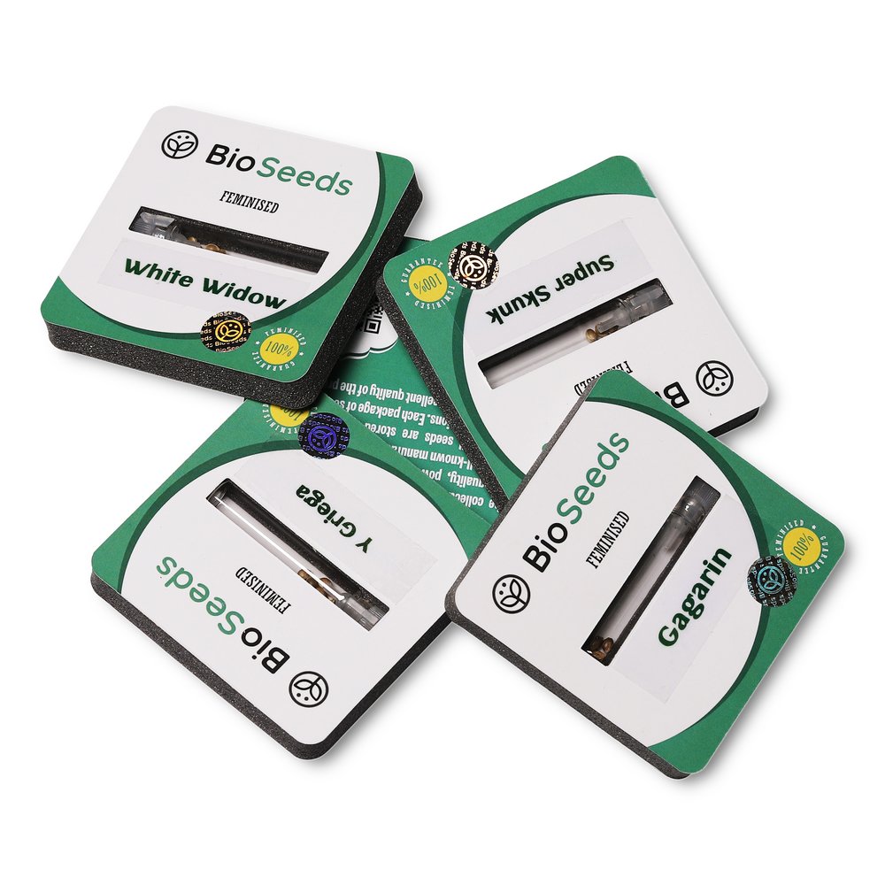 Семена марихуаны сорт Black Domina Fem. Семена марихуаны сорт Black Domina Fem.